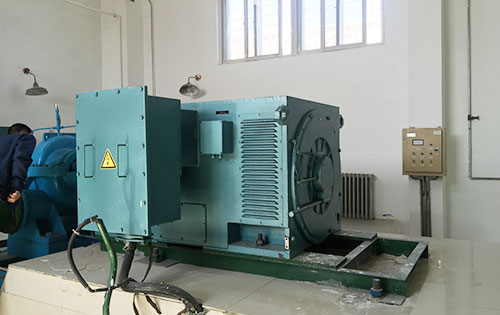 国营罗豆农场某水电站工程主水泵使用我公司高压电机
