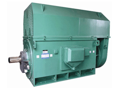 国营罗豆农场Y系列6KV高压电机
